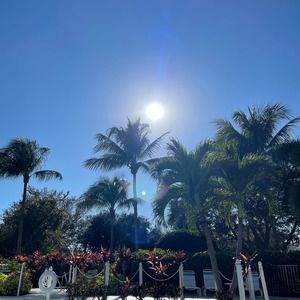 Meet your Posher, Noelle